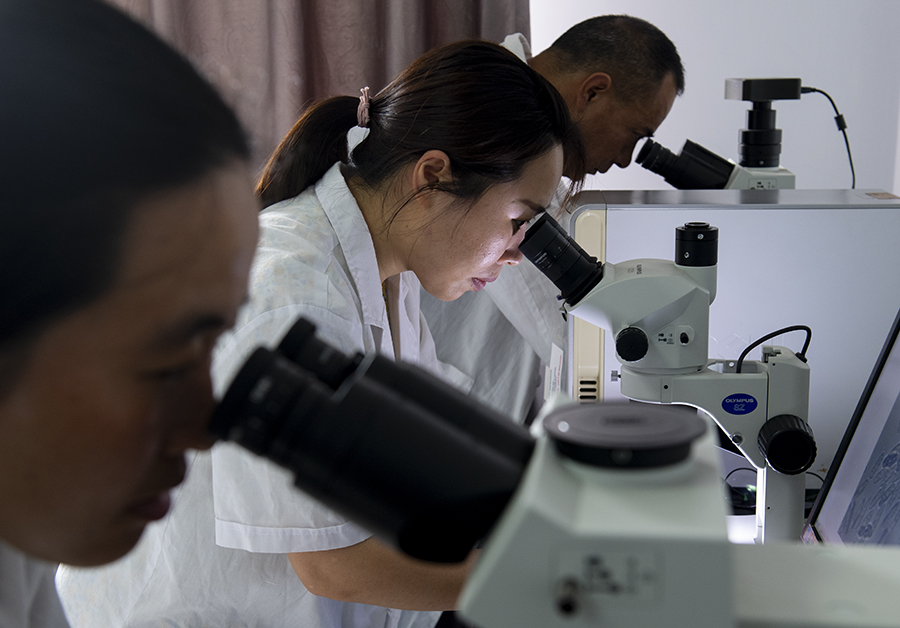 自产农业“芯片” 端稳“中国饭碗” 自产农业“芯片” 端稳“中国饭碗”