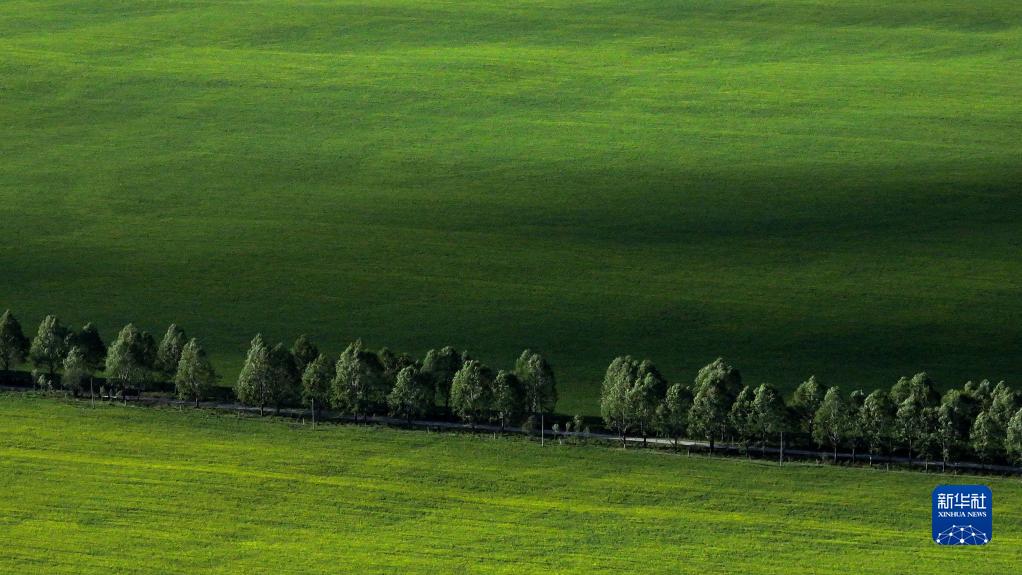 美丽中国丨祁连山之夏 美丽中国丨祁连山之夏