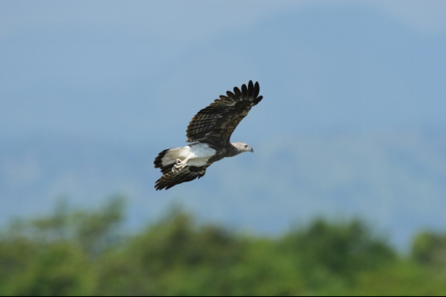 索尼发布APS-C画幅微单 Alpha 6700及数字音频麦克风ECM-M1 索尼发布APS-C画幅微单 Alpha 6700及数字音频麦克风ECM-M1