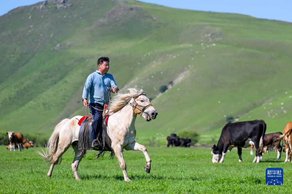 四季中国|四季牧歌:乌兰毛都草原的“夏日牧歌”