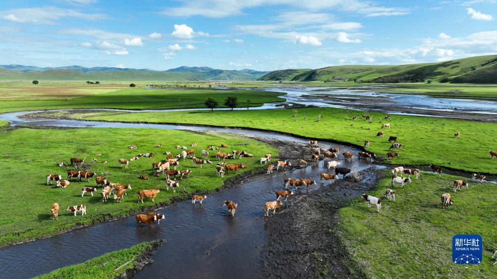 四季中国|四季牧歌:乌兰毛都草原的“夏日牧歌”