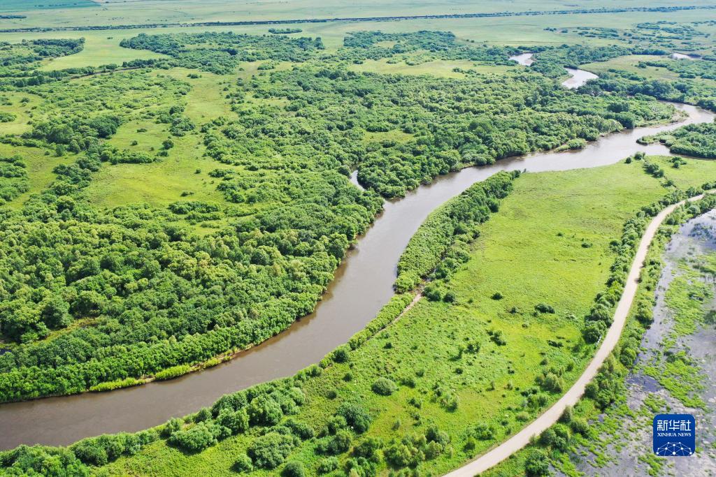 夏日里的免渡河湿地