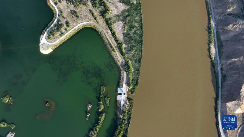 新华全媒+|沙水交融 魅力沙坡头