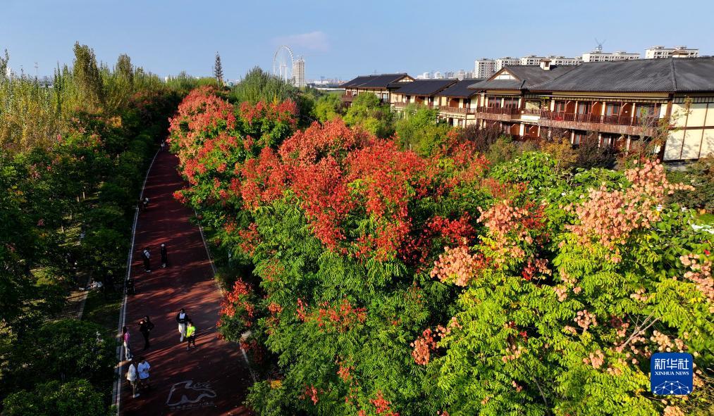 美丽中国丨陕西:沣河秋景胜春朝