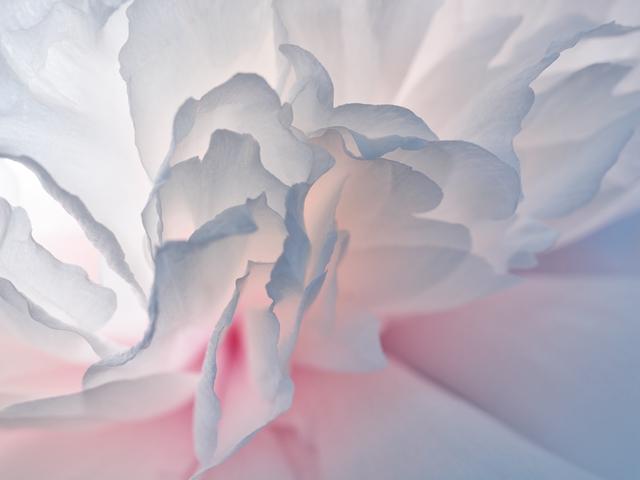 王昆峰:探索打开物性的超视觉影像