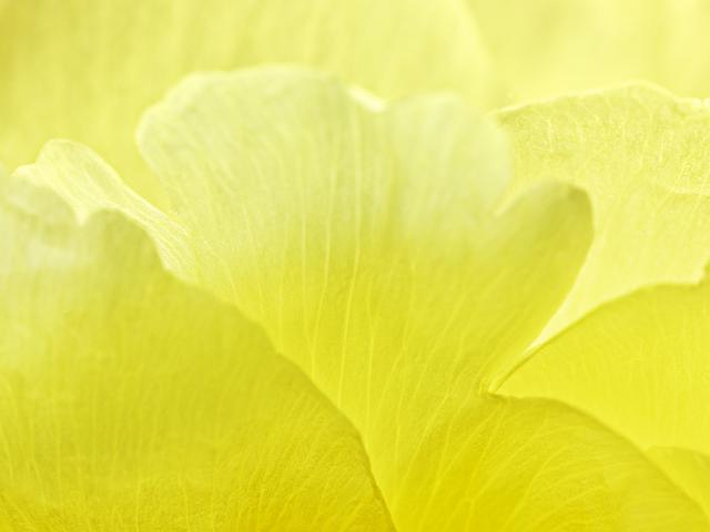 王昆峰:探索打开物性的超视觉影像