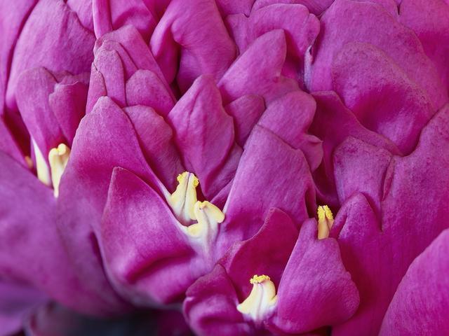 王昆峰:探索打开物性的超视觉影像