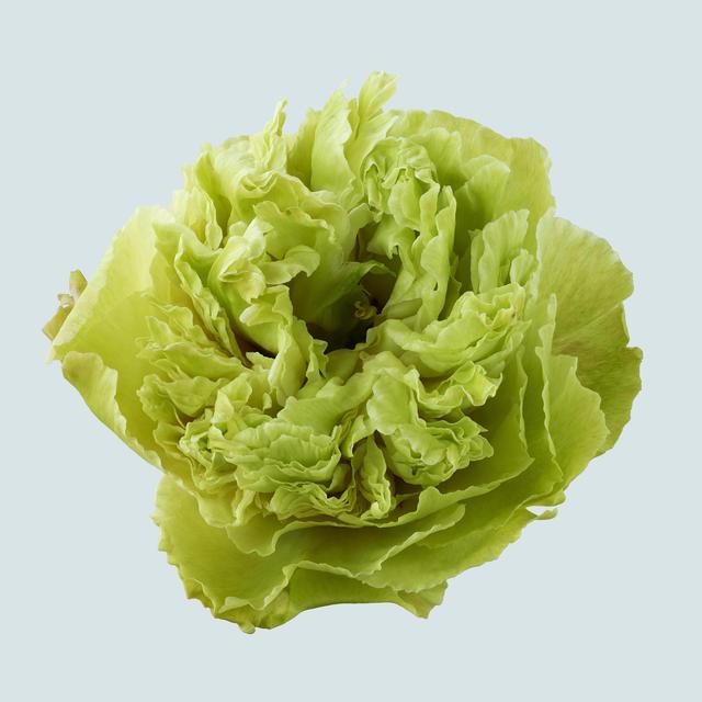 王昆峰:探索打开物性的超视觉影像