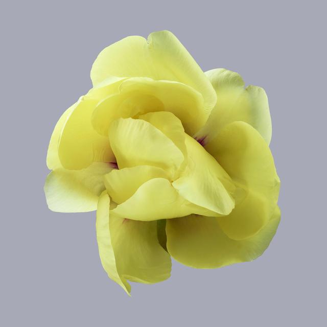 王昆峰:探索打开物性的超视觉影像