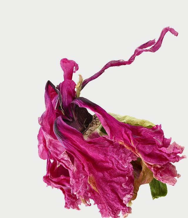 王昆峰:探索打开物性的超视觉影像