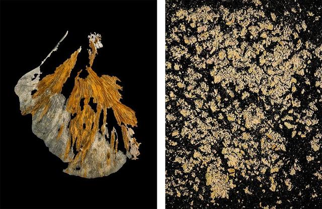 王昆峰:探索打开物性的超视觉影像