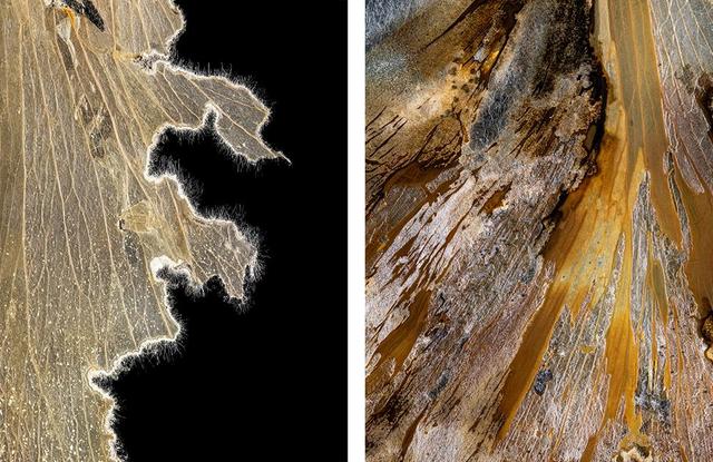 王昆峰:探索打开物性的超视觉影像