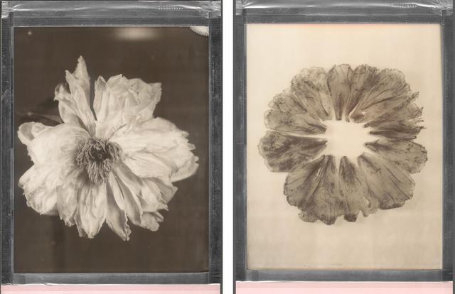 王昆峰:探索打开物性的超视觉影像