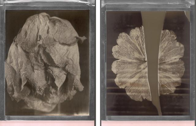 王昆峰:探索打开物性的超视觉影像