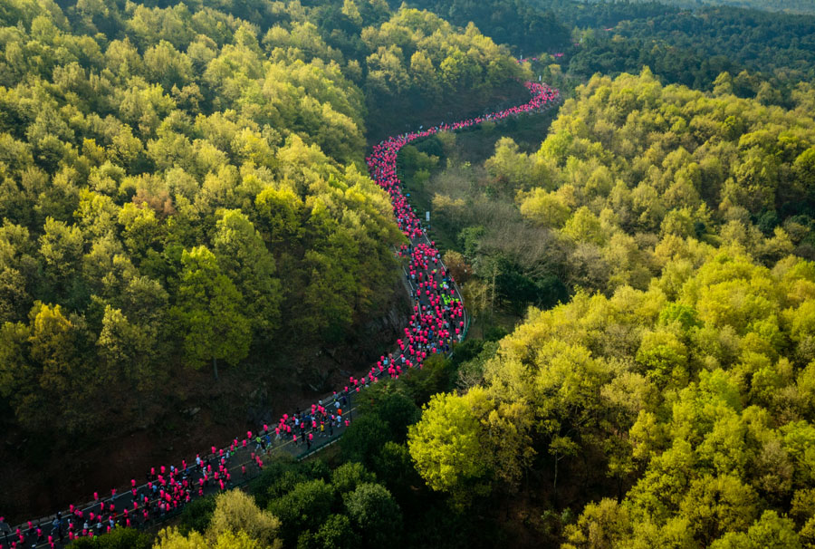 生态赛道 尽享自然美景 生态赛道 尽享自然美景