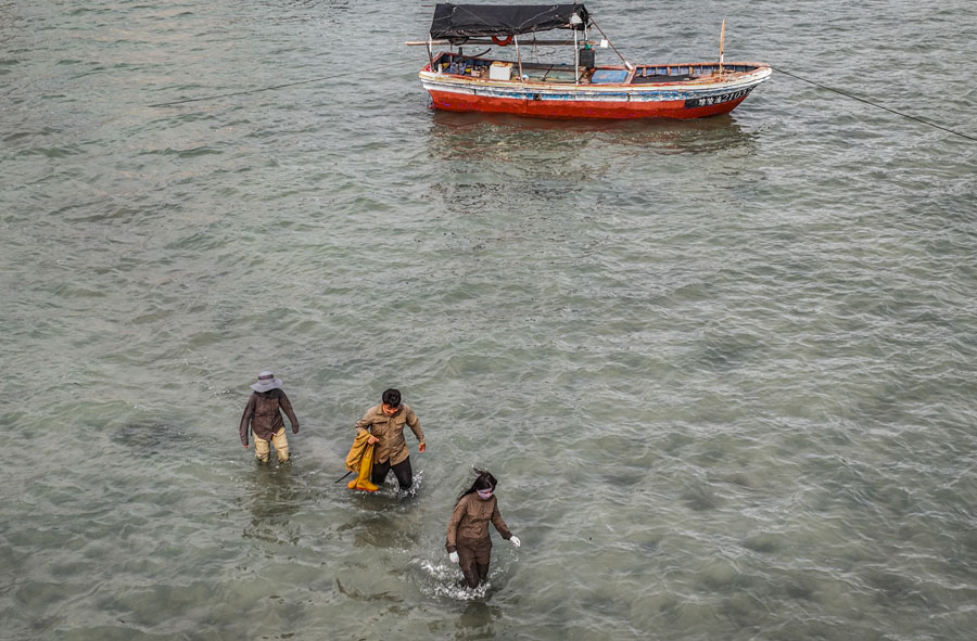 海中寻“碳” 海中寻“碳”