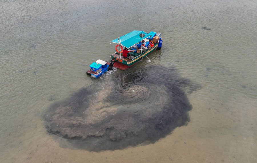 海中寻“碳” 海中寻“碳”