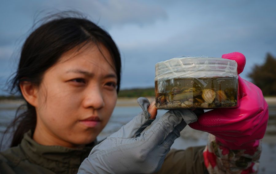 海中寻“碳” 海中寻“碳”