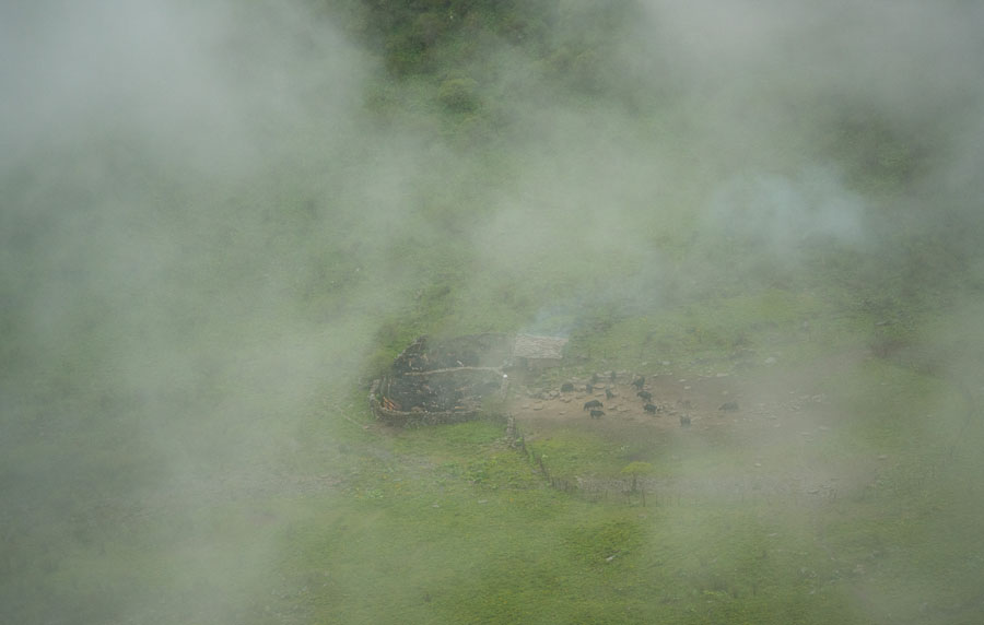 夹金山上“斗”牛 一个藏乡少年的成人礼 夹金山上“斗”牛 一个藏乡少年的成人礼