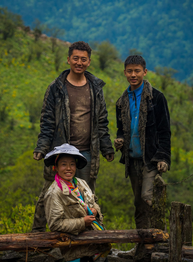 夹金山上“斗”牛 一个藏乡少年的成人礼 夹金山上“斗”牛 一个藏乡少年的成人礼