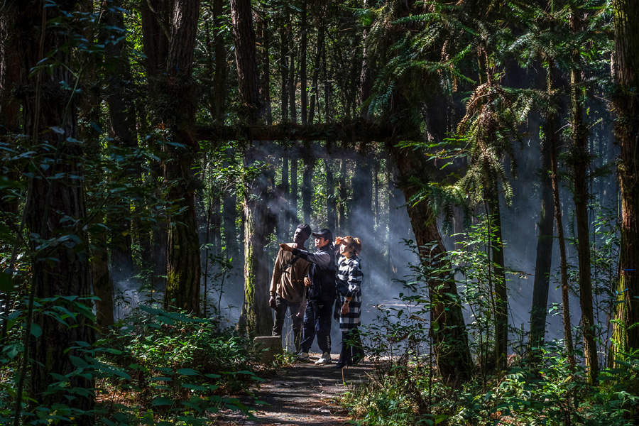 中医，一种跨越国界的热爱