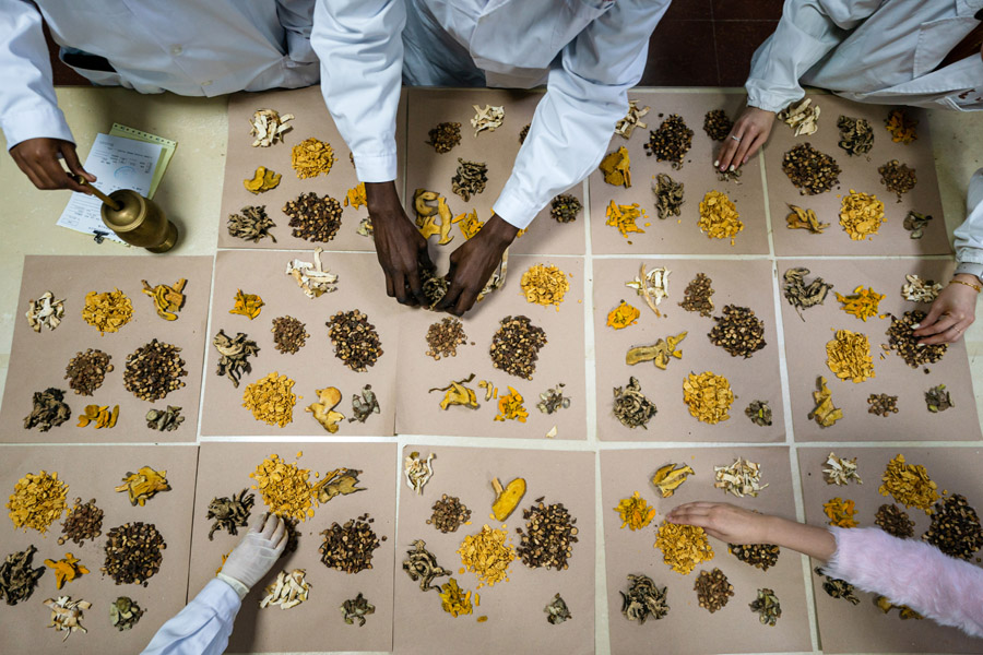 中医，一种跨越国界的热爱