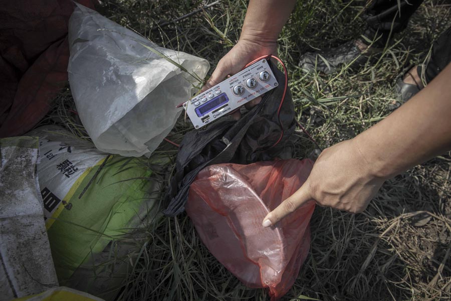 候鸟栖息地竟“长”出连片捕鸟网 候鸟栖息地竟“长”出连片捕鸟网