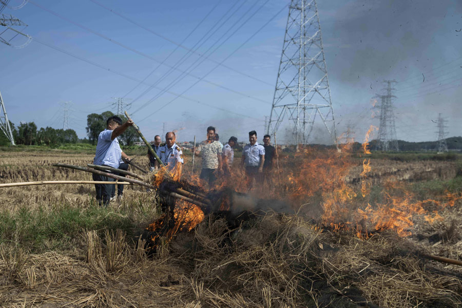 候鸟栖息地竟“长”出连片捕鸟网 候鸟栖息地竟“长”出连片捕鸟网
