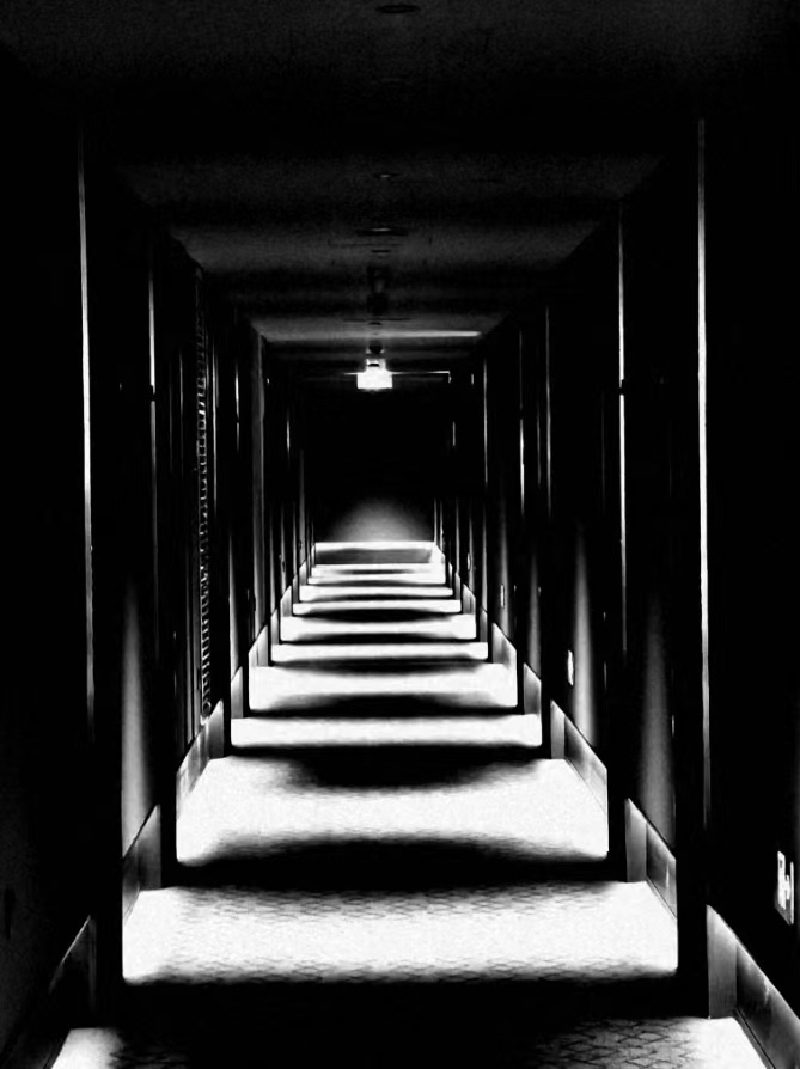 驭光捕影，摄影人永恒的追求