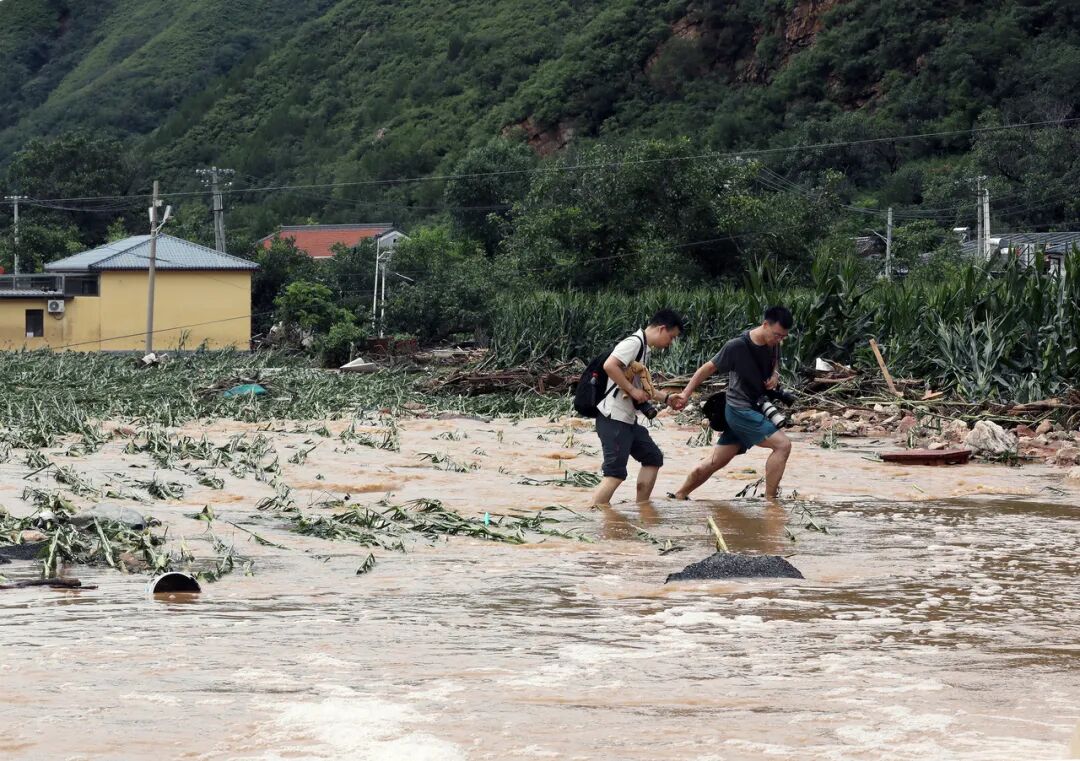 我是记者·我在现?。と巳毡ㄊ泳跏悠挡?025记者节特别策划