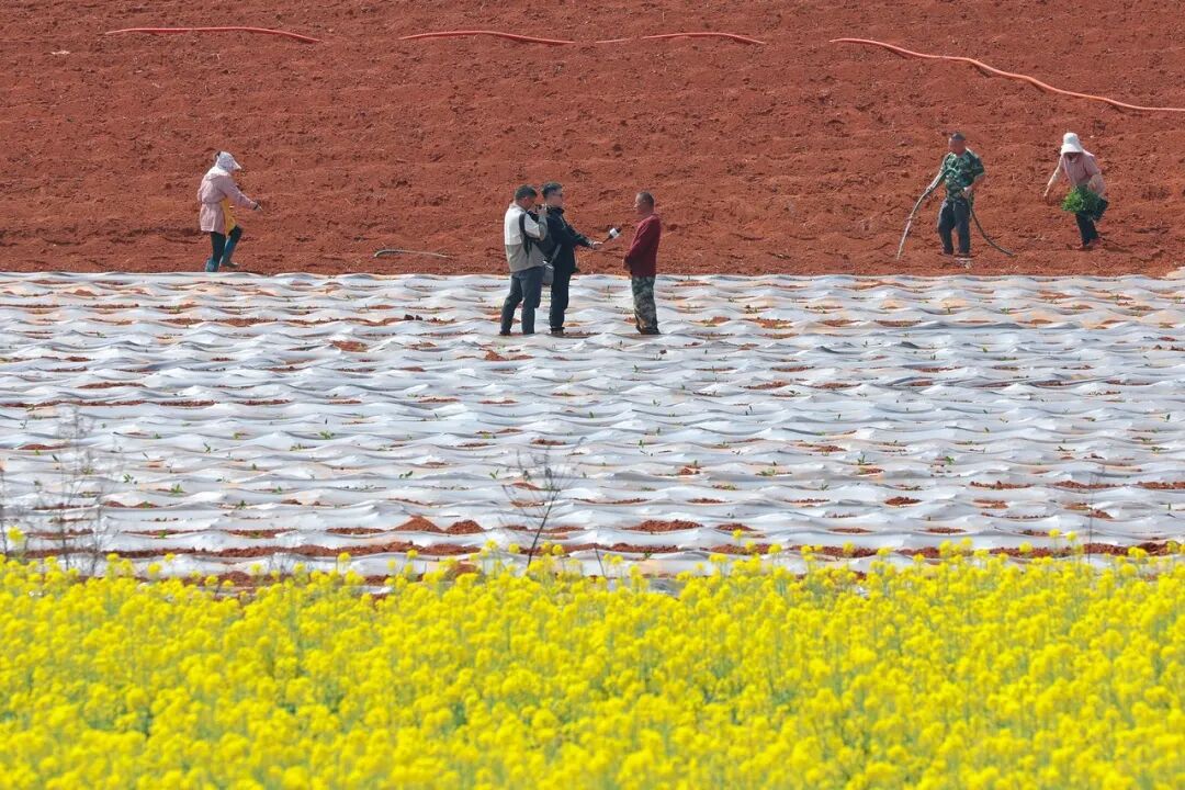 我是记者·我在现?。と巳毡ㄊ泳跏悠挡?025记者节特别策划