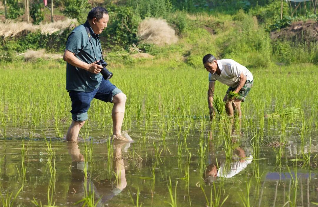 我是记者·我在现?。と巳毡ㄊ泳跏悠挡?025记者节特别策划