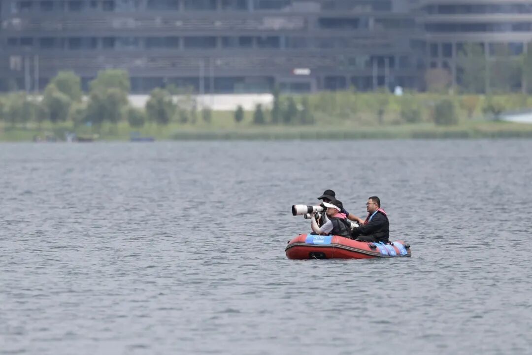 我是记者·我在现?。と巳毡ㄊ泳跏悠挡?025记者节特别策划