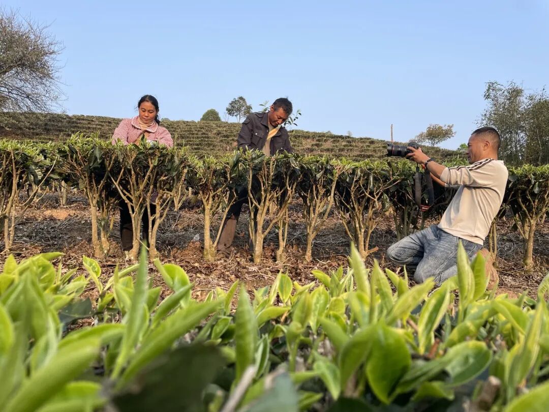 我是记者·我在现?。と巳毡ㄊ泳跏悠挡?025记者节特别策划