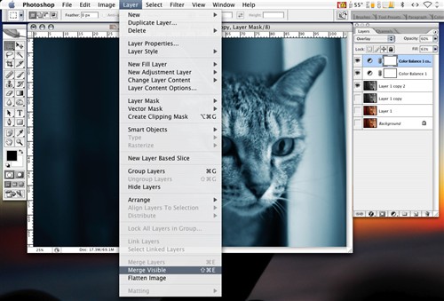 调好之后，再按一次Commend J复制刚才的调整图层