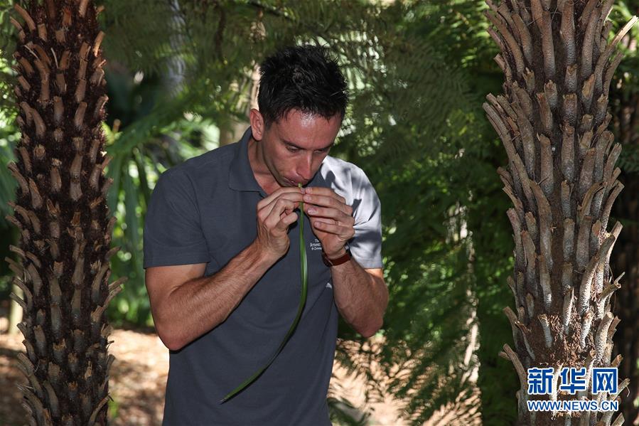 （国际·图文互动）（5）通讯：繁华都市中的原住民文化守望者