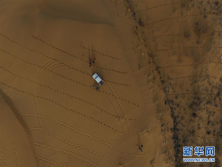 种植沙柳治沙漠 (生态)(5)种植沙柳治沙漠