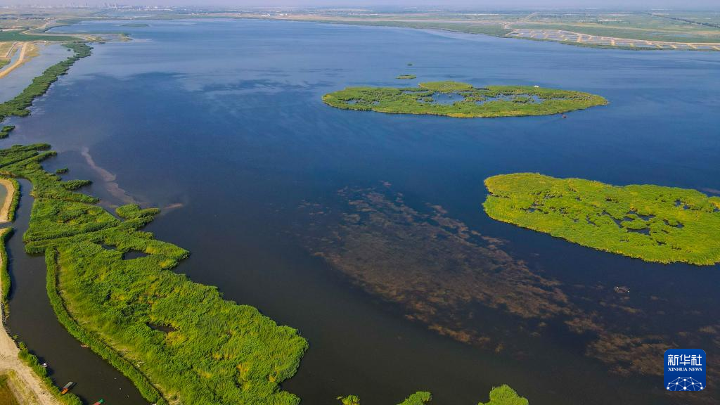 飞“阅”视角看天下 飞“阅”视角看天下
