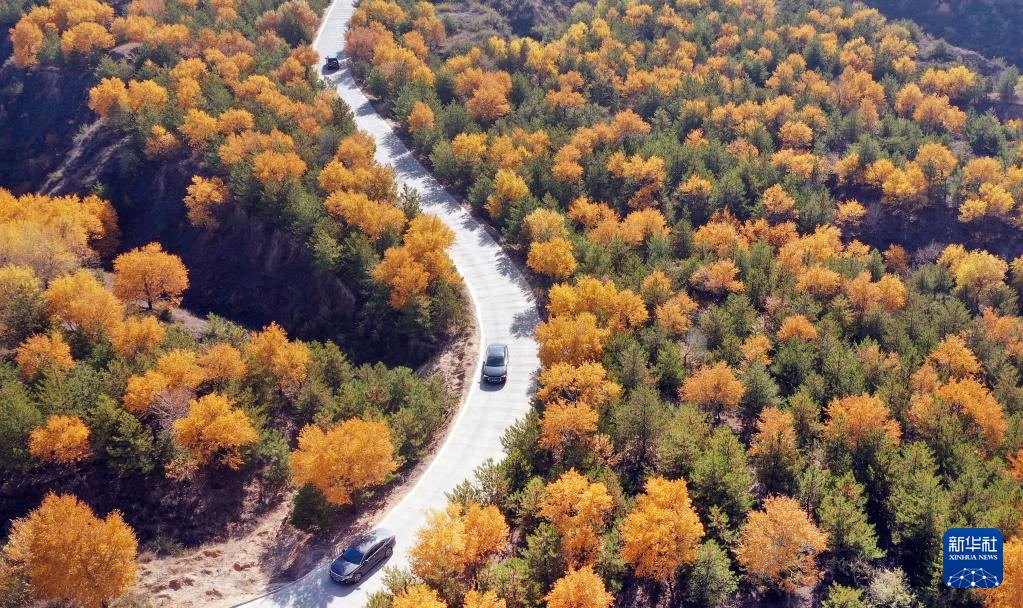 漫山斑斓 层林尽染