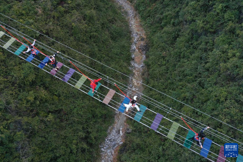 足不出户！镜头带你乐享各地多彩假期