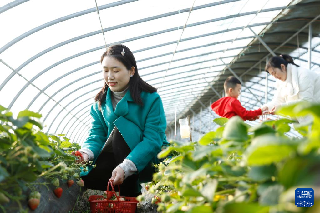 足不出户！镜头带你乐享各地多彩假期