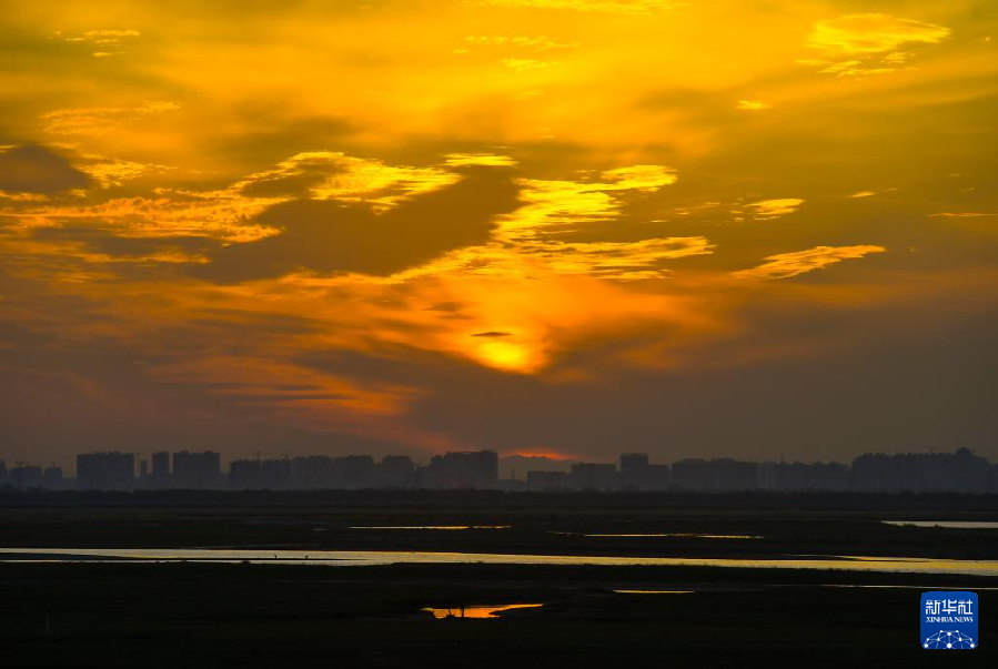 无人机航拍:内蒙古塞上黄河 风光壮美