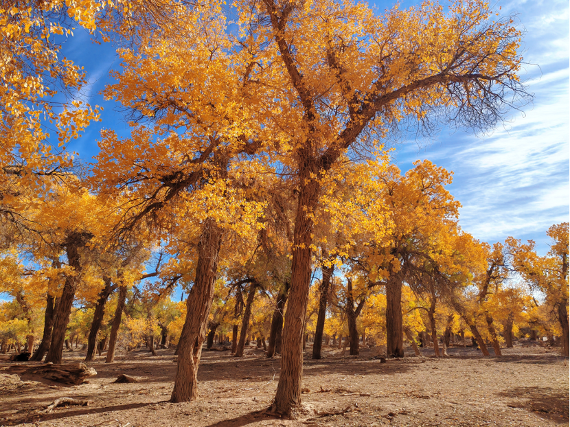“大美中国 气象万千”主题宣传活动作品征集
